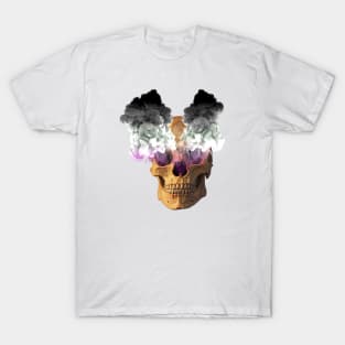 Subtle Ace Flag Halloween Skull T-Shirt